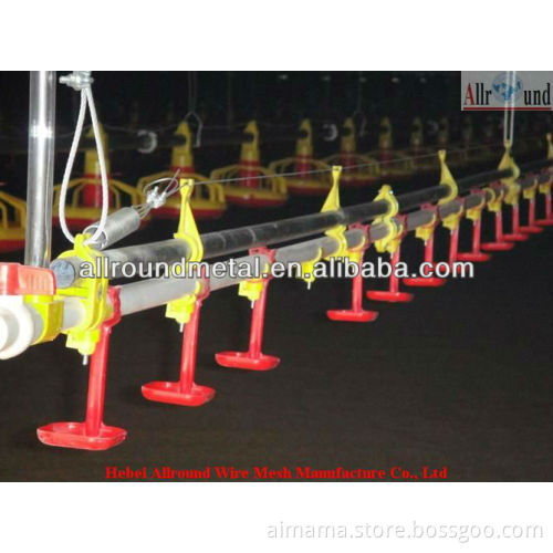 automatic chicken feeders and drinkers for poultry